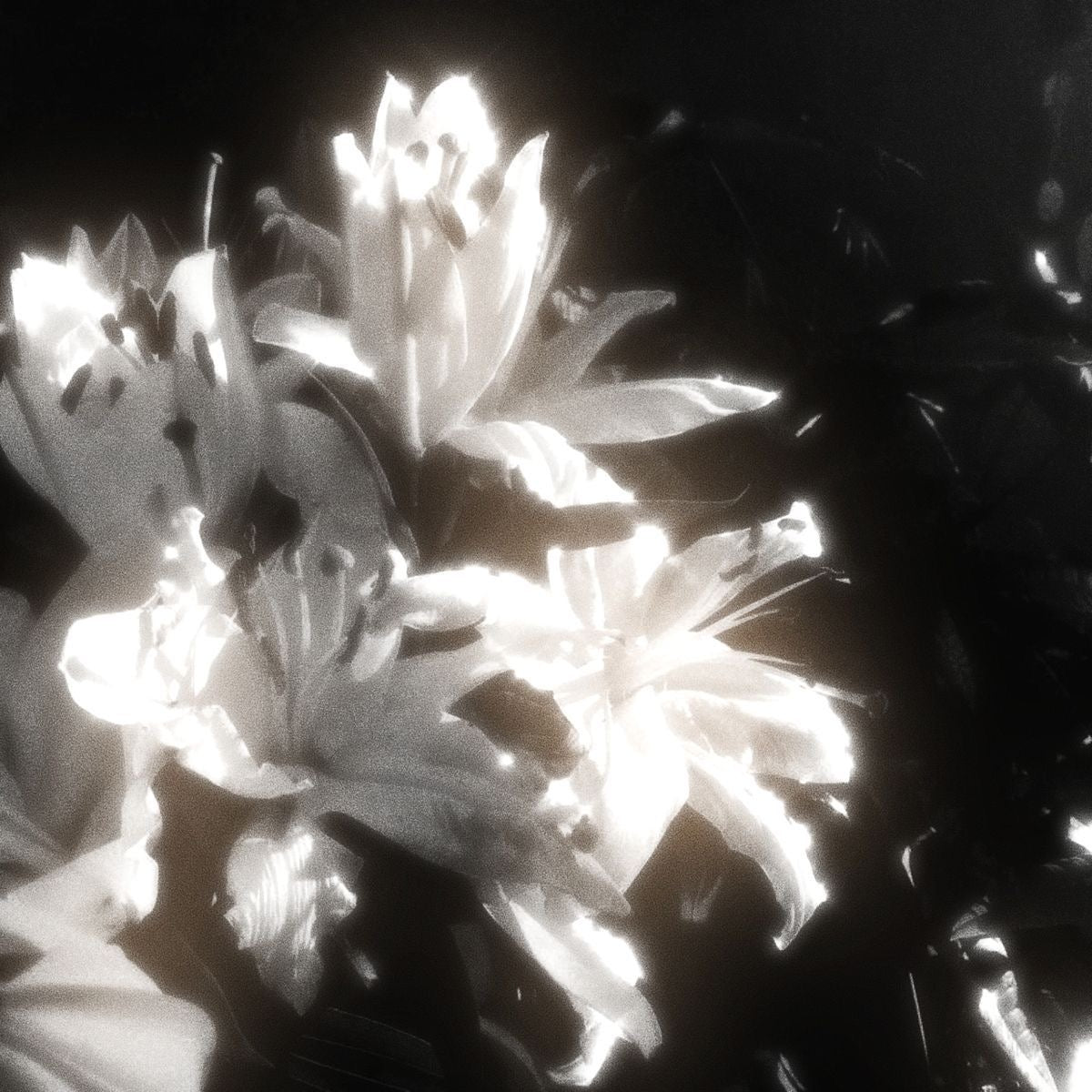 Комплект стиля (XL)